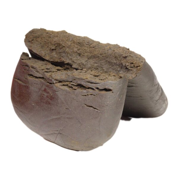 Orca-hash-wholesale-1536x1536 Orca Hash